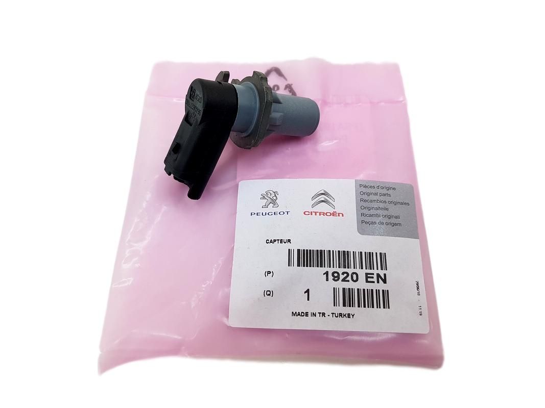 https://www.accessoiresautofr.com/wp-content/uploads/A0001/auto-3/eurofrance24-2/PEUPSA1920EN.jpg